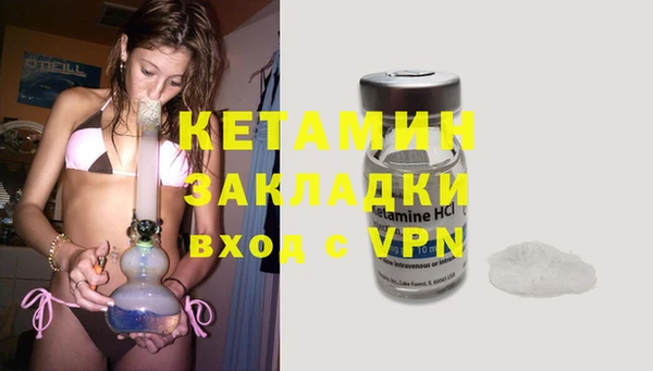 шишки Бородино