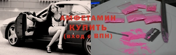 стаф Богданович