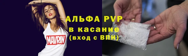 крисы Богородицк