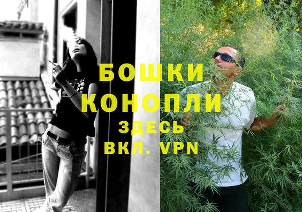 шишки Бородино