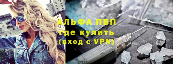 шишки Бородино