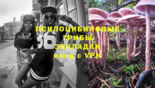 крисы Богородицк