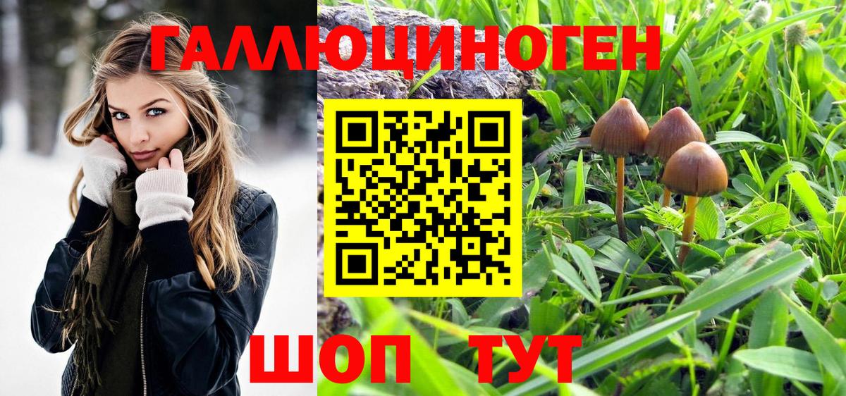 Галлюциногенные грибы мицелий Воскресенск
