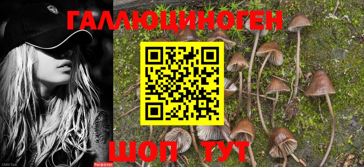Воскресенск  Галлюциногенные грибы Psilocybe  Вход с VPN 